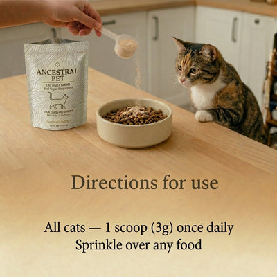 Beef Organ Blend for Cats for a shinier coat, more energy & healthy heart
