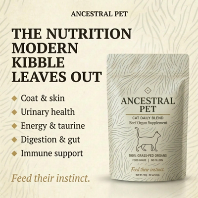 Beef Organ Blend for Cats for a shinier coat, more energy & healthy heart
