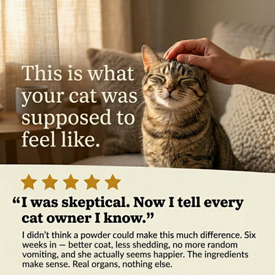 Beef Organ Blend for Cats for a shinier coat, more energy & healthy heart
