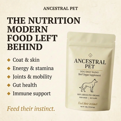 Beef Organ Blend for Dogs for a shinier coat, more energy & stronger immunity
