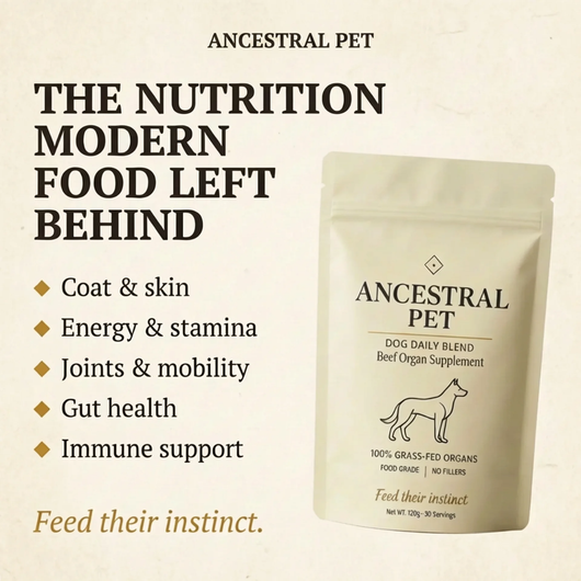 Beef Organ Blend for Dogs for a shinier coat, more energy & stronger immunity