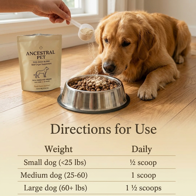 Beef Organ Blend for Dogs for a shinier coat, more energy & stronger immunity