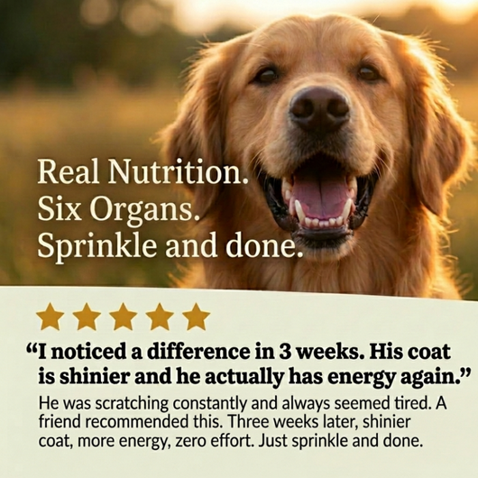 Beef Organ Blend for Dogs for a shinier coat, more energy & stronger immunity