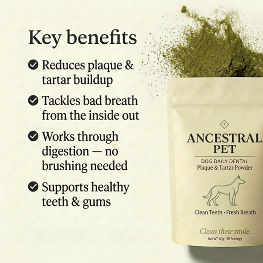 Dental Powder for Dogs for fresh breath, clean teeth & less tartar