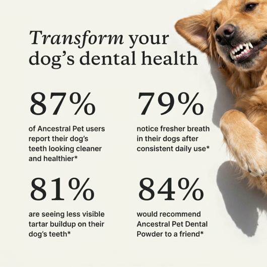 Dental Powder for Dogs for fresh breath, clean teeth & less tartar