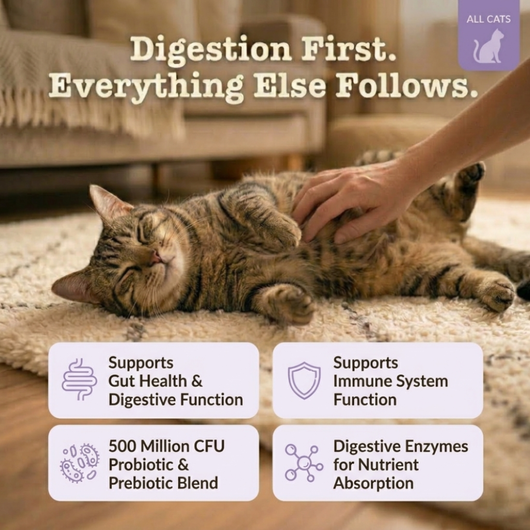 Probiotic Blend for Cats for gut health, digestion & less vomiting