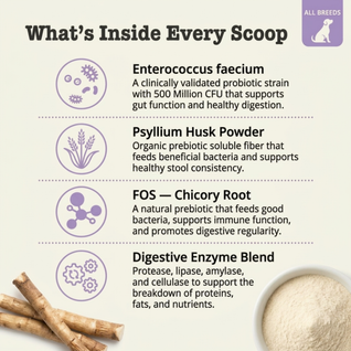 Probiotic Blend for Dogs for gut health, digestion & immune support
