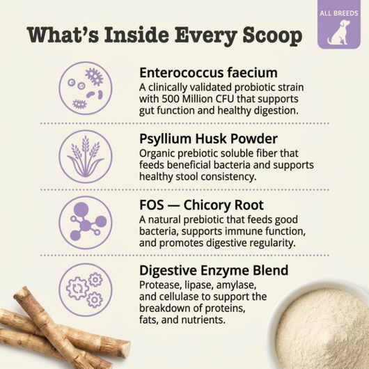 Probiotic Blend for Dogs for gut health, digestion & immune support
