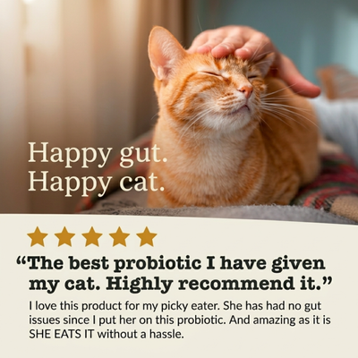 Probiotic Blend for Cats for gut health, digestion & less vomiting